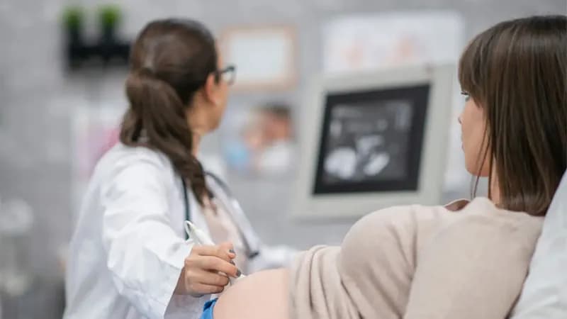 Doğum sigortası fiyatları 2026 karşılaştırma