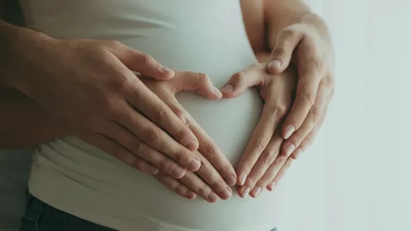 Hamilelik sigortası rehberi 2026